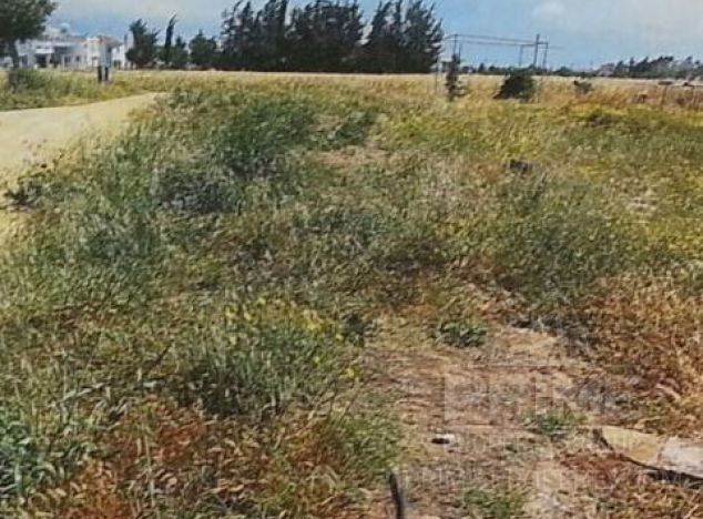 Ziemia w rejonie Larnaca (Dromoloxia) na sprzedaż