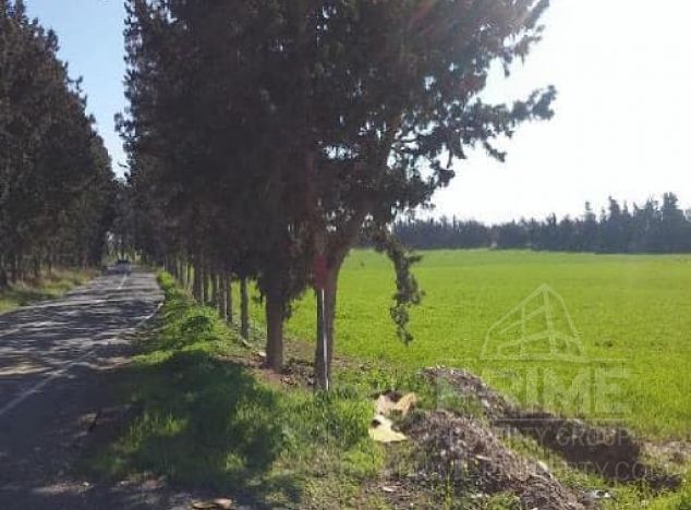 Ziemia w rejonie Larnaca (Meneou) na sprzedaż