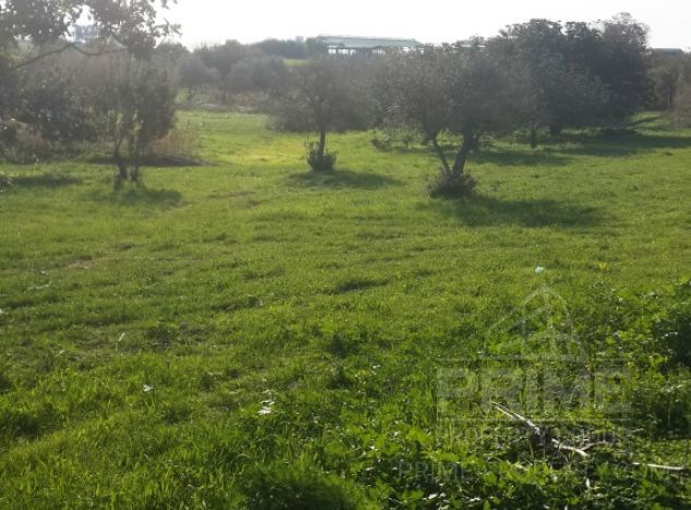 Ziemia w rejonie Larnaca (Oroklini) na sprzedaż