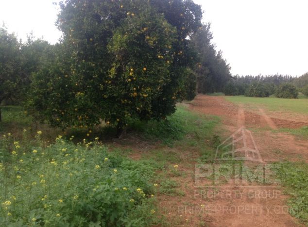 Ziemia w rejonie Limassol (Fassouri) na sprzedaż
