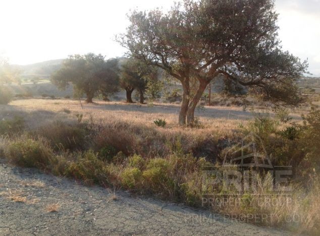 Ziemia w rejonie Limassol (Monagroulli) na sprzedaż