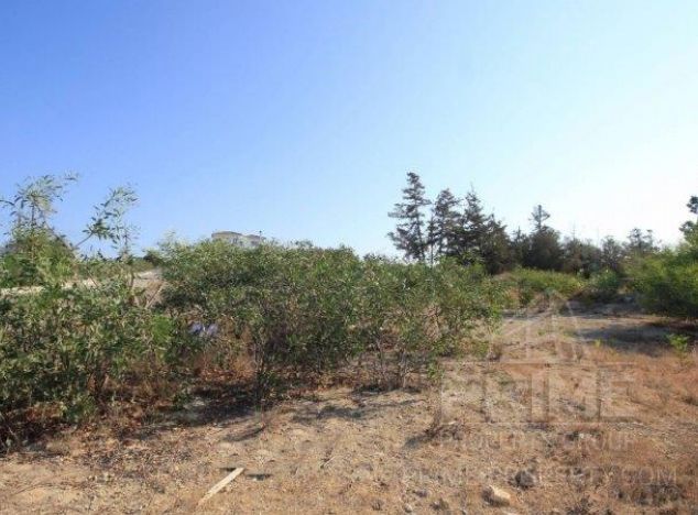 Ziemia w rejonie Paphos (Anarita) na sprzedaż