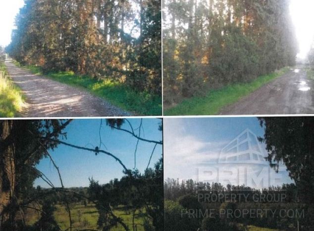 Ziemia w rejonie Paphos (Geroskipou) na sprzedaż