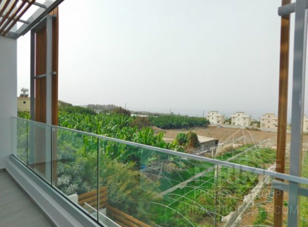 Willa w rejonie Paphos (Kissonerga) na sprzedaż