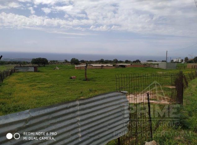 Ziemia w rejonie Paphos (Pegeia) na sprzedaż