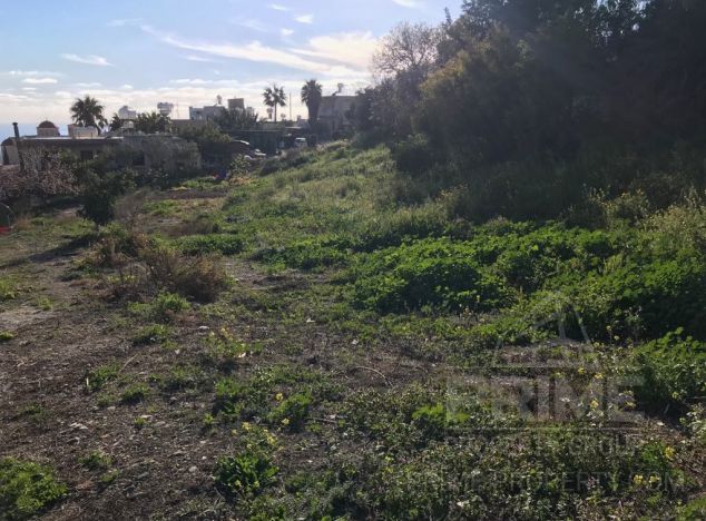 Ziemia w rejonie Paphos (Tala) na sprzedaż