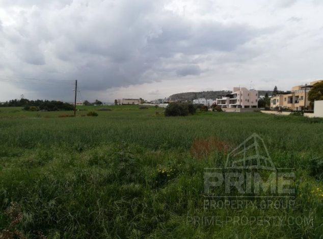 Ziemia w rejonie Paphos (Timi) na sprzedaż