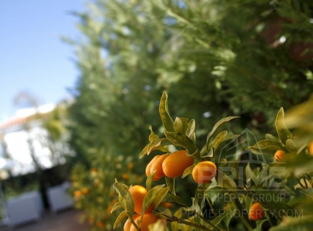 Willa w rejonie  (Pernera) na sprzedaż