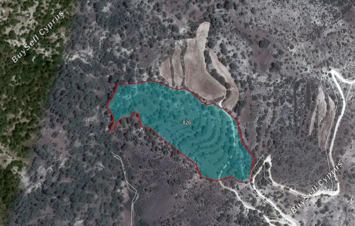 Ziemia w rejonie Paphos (836341) na sprzedaż