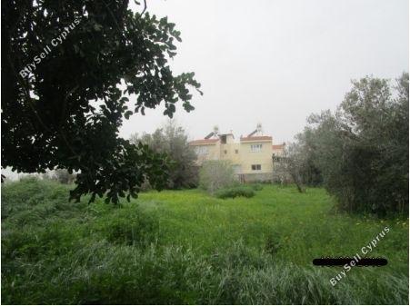 Ziemia w rejonie Paphos (836785) na sprzedaż