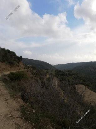 Ziemia w rejonie Limassol (845095) na sprzedaż