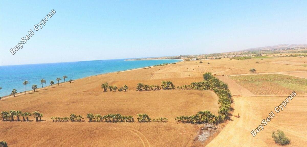 Ziemia w rejonie Larnaca (Mazotos) na sprzedaż