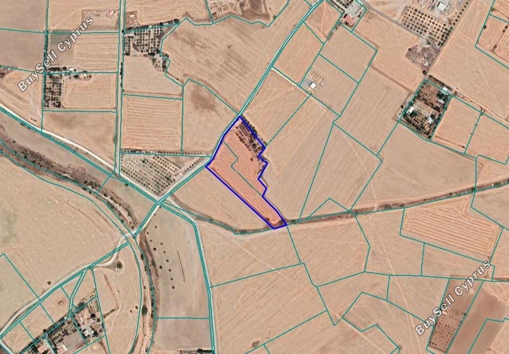 Ziemia w rejonie Larnaca (Tersefanou) na sprzedaż